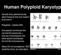 Image result for Polyploid Human