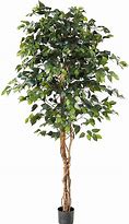 Image result for Fake Trees Indoor