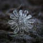 Image result for Images of Snow Flakes Falling