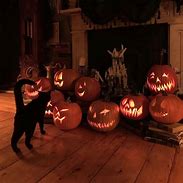 Image result for Halloween Photos