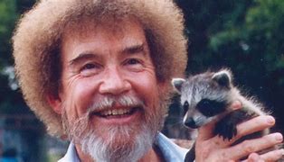 Image result for Bob Ross Happy Accident Season 11 Episode 13