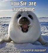 Image result for Meme of Seal Applauding