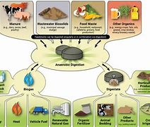 Image result for Anaerobic Digestion Process