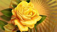 Image result for Rose Gold Pink iPhone Wallpaper