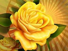 Image result for Gold Colour Rose 4K