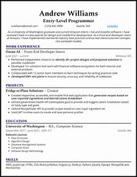 Image result for Computer Programmer Resume