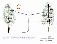 Image result for Tree with Vertical V Antenna
