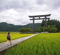 Image result for Japan Summer