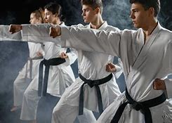 Image result for Popular Types of Karate