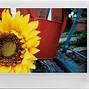 Image result for Instax Fuju Wide 300