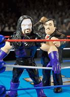 Image result for WWE Legends Action Figures