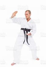 Image result for Shotokan Karate Stances