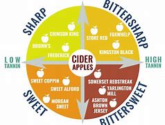 Image result for New England Cider Apple Varieties