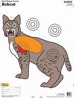 Image result for Cat Shooting Target