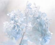 Image result for White Pastel Aesthetic