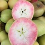 Image result for Bright Pink Apple's