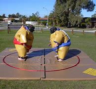 Image result for Sumo Suit Fun