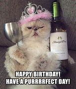 Image result for Woman Yelling at Cat Meme Happy Birthday Card