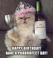 Image result for Cat Birthday Memes for Women
