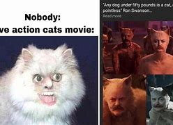 Image result for Cool Cat Movie Memes