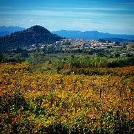 Image result for Falset Marca Montsant Castell Falset