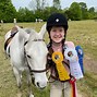 Image result for Tinker Horse Show