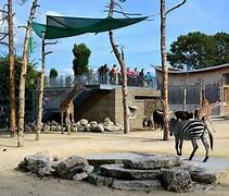 Image result for Zoo for Kids