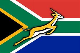 Image result for South African Rugby Flag