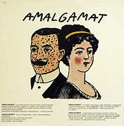 Image result for amalgamat