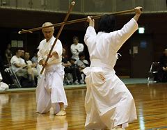 Image result for Japan Martial Arts