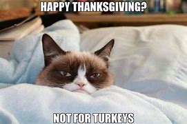 Image result for Grumpy Cat Thanksgiving