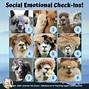 Image result for Sheep Mood Scale