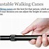 Image result for Walking Canes for Men