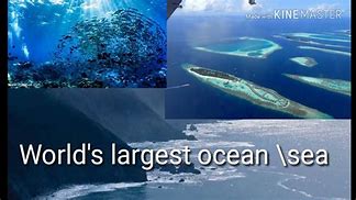 Image result for Biggest Ocean