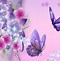 Image result for Butterflies iPad Wallpaper