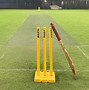 Image result for Cricket Box Guard