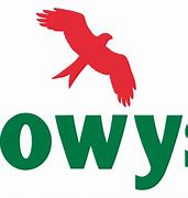 Image result for Powys County Council Logo