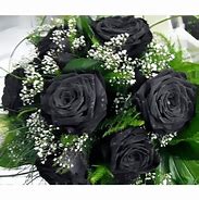 Image result for Bouquet of Black Roses