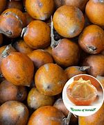 Image result for African Star Apple Fruit