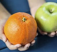 Image result for Adding Apples and Oranges