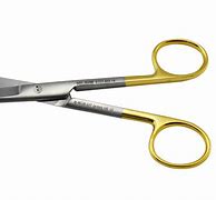 Image result for Blunt Point Scissors