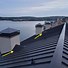 Image result for Small Roof Cricket