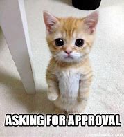 Image result for Cat Meme Approval