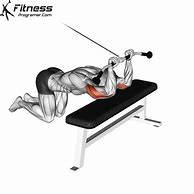 Image result for Best AB Building Exercises