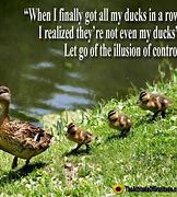 Image result for Ducks in a Row Quotes