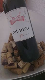 Image result for catauro