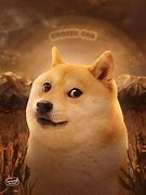 Image result for Doge Fan Art