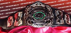Image result for GTS Wrestling Belts