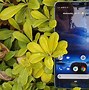 Image result for Nokia 9 PureView Astrophotography