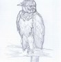 Image result for Harpy Eagle Face Sketch Drawing